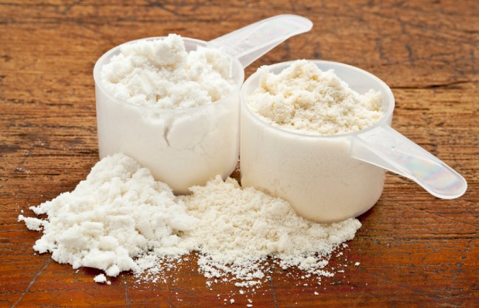 What Are the Sources of Protein Powder