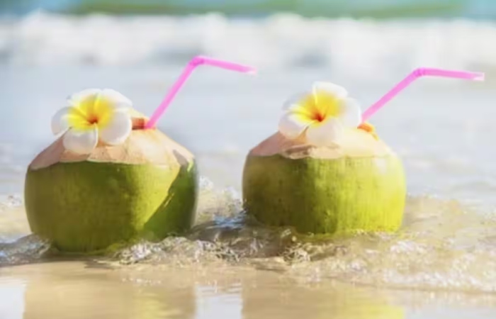 Coconut water Summer Drinks