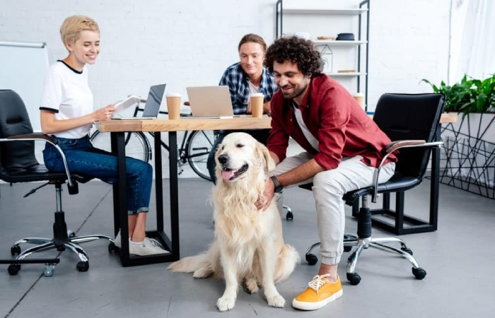 Benefits of a Pet-Friendly Workplace