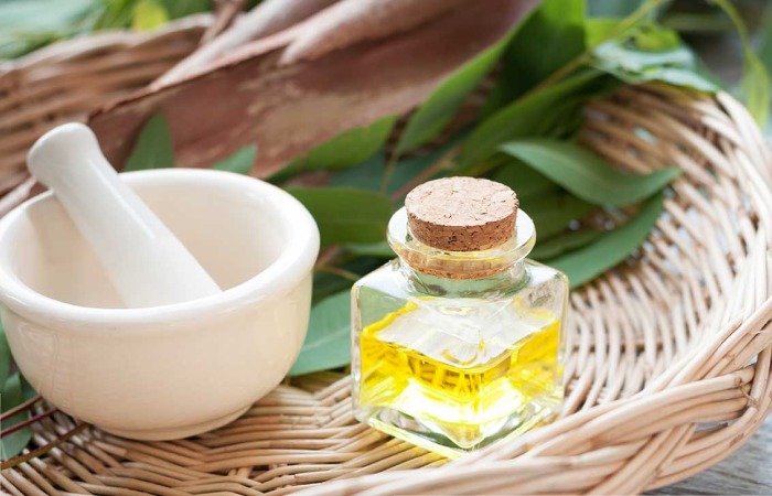 Eucalyptus oil for pain relief (home remedies)